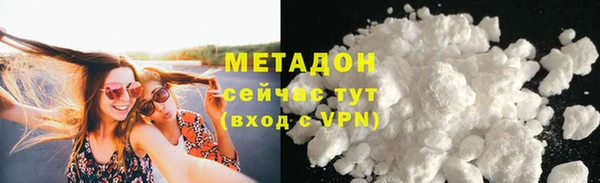 гидра Абаза