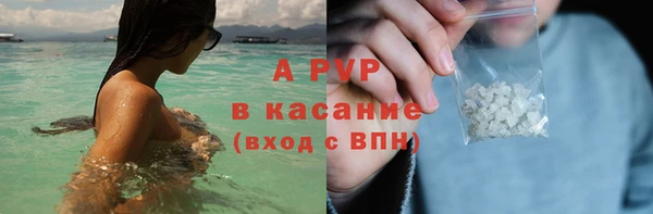 гидра Абаза