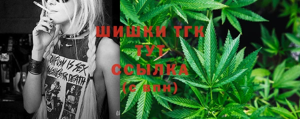 гидра Абаза