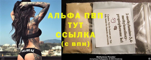 гидра Абаза