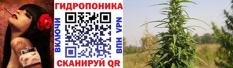 закладка hydra как войти Бошки Шишки THC 21% Энем